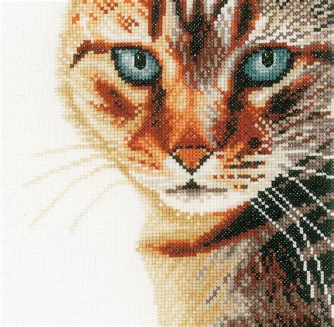 Cat Close Up Cross Stitch Kit Only £2350