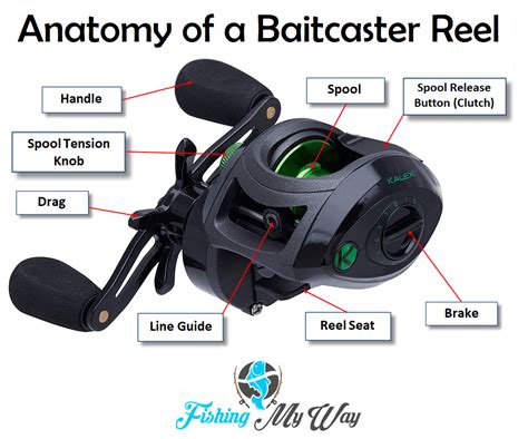 How To Cast A Baitcaster Reel Fishing My Way