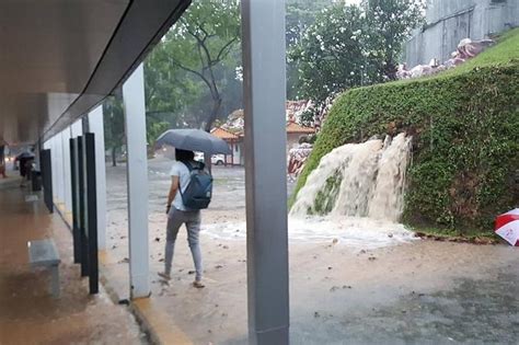 Weather such as heavy rain, thunderstorms, hurricanes, or tsunamis can cause flooding. Heavy rain sparks crashes, floods, Latest Singapore News ...
