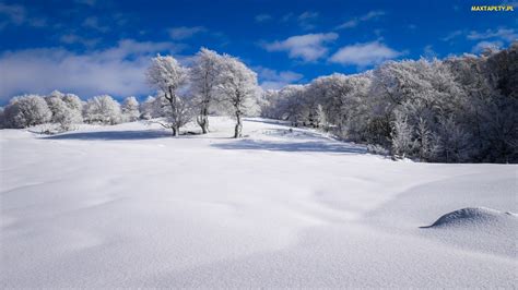 Tapety Zdjęcia Zima Drzewa Ośnieżone Pole