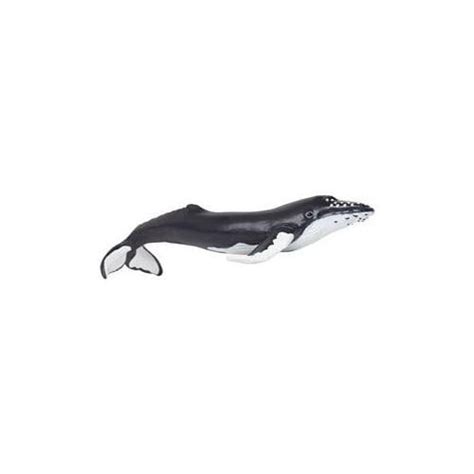 Safari Ltd Wild Safari Sea Life Humpback Whale Realistic Hand