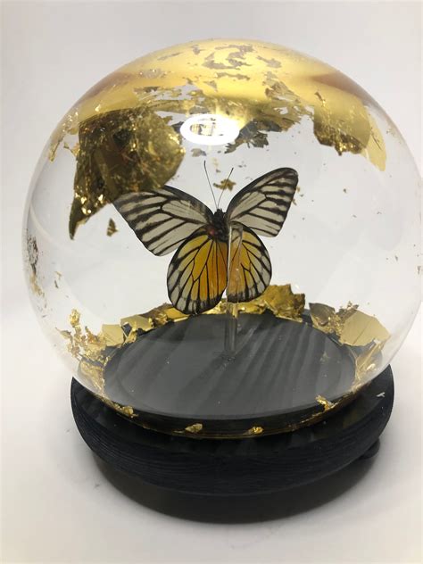 Butterfly Encased In A Snow Globe With 9ct Gold Flakes Etsy