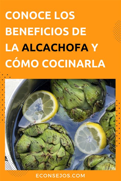 Este proceso iniciará mañana, declaró alvarado en una conferencia de prensa. ¿Por qué comer alcachofa? | Comida, Dieta y nutrición y ...