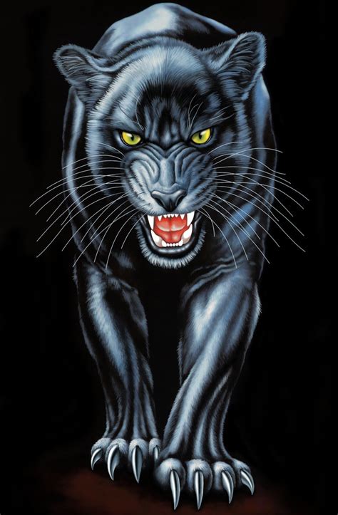 40 Black Panther Animal Drawing Images Papercutsbytorie