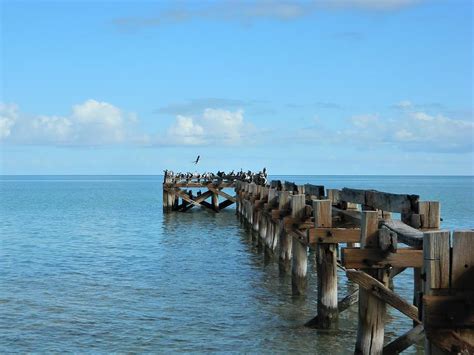 Old Timber Jetty Photograph By Louise Merigot Fine Art America