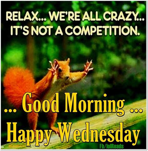 I choose a lazy person to do a hard job, because a lazy person will find an easy way to do it. √ Happy Wednesday Morning Funny Wednesday Memes For Work