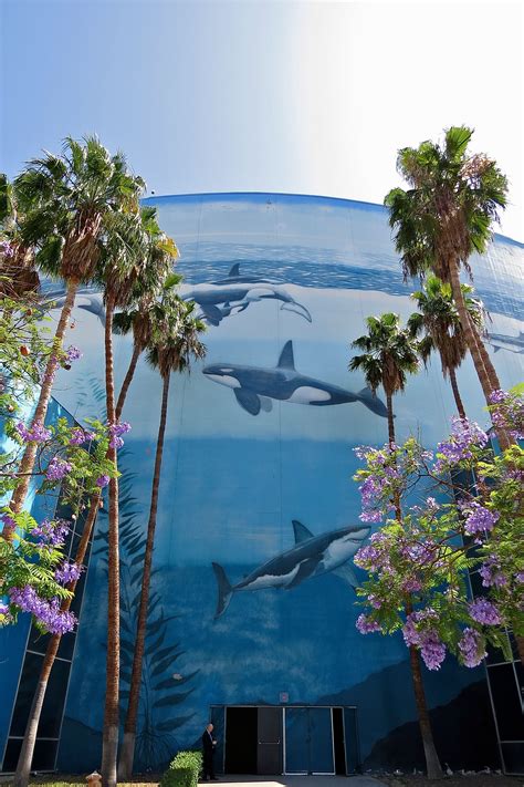 Aquarium Of The Pacific In Long Beach Ca Summer Road Trip Trip Favorite Places