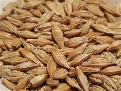15 Easy Fiber In Barley The Best Recipes Compilation