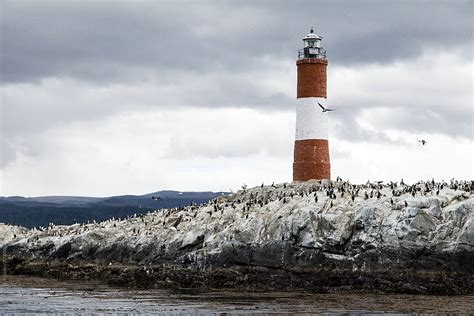 Les Eclaireurs Lighthouse Ushuaia Patagonia By Stocksy Contributor