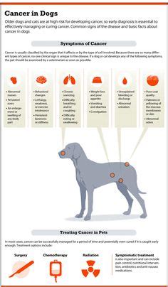 Pay attention to your dog as they play and go about. Mast Cell Tumor (MCT) in a dog. Between 7 & 21% of all ...