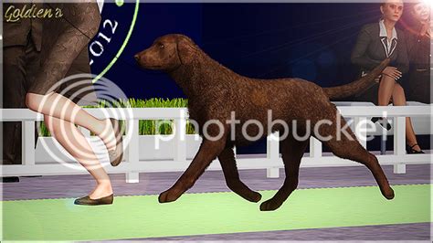 2nd Simnational Level Ii Sims Kennel Club