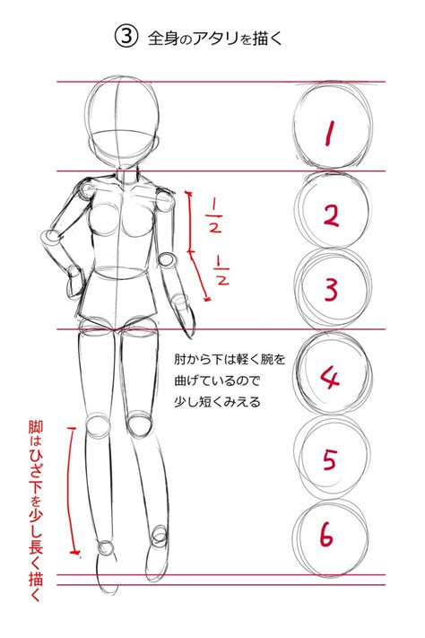 0から描く簡単な体の描き方 アニメ・マンガ風キャラの描き分け Drawing Anime Bodies Manga Drawing
