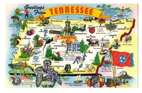 Greetings Tennessee State Map Cities Attractions Industry Vtg Postcard
