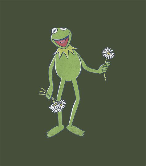 Disney The Muppets Kermit The Frog Portrait Digital Art By Haidara