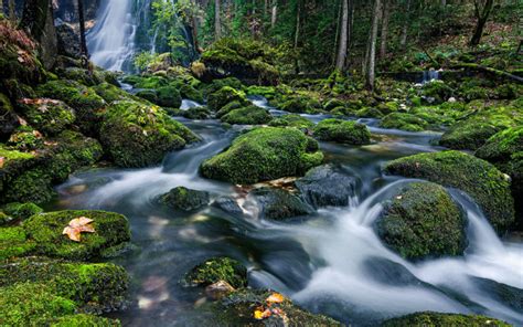 Mountain River Clearer Ldna Water Waterfall Rocks With Green Moss Pine