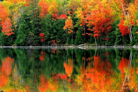 The Best Place To Experience Fall In New England
