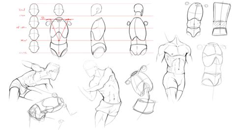 Anatomy Drawing Tips Perfect Your Figures Wingfox