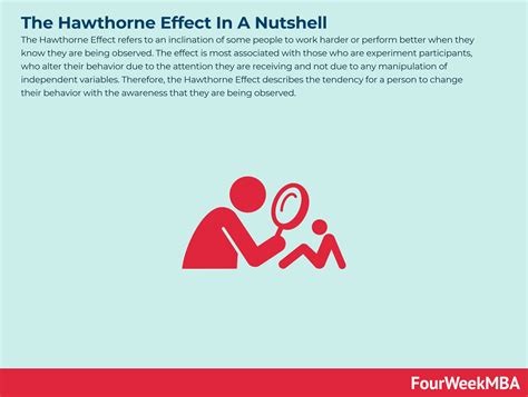 What Is The Hawthorne Effect The Hawthorne Effect In A Nutshell