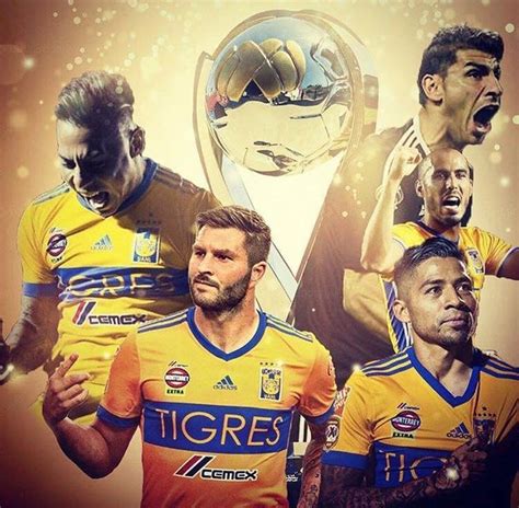 Pin De Danyela Gonzalez En Tigres El Mejor Tigres Uanl Tigres Futbol