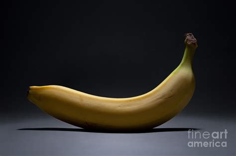 Banana In Limbo Photograph By Dan Holm Fine Art America