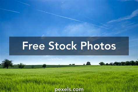 10000 Best Grass Field Photos · 100 Free Download · Pexels Stock