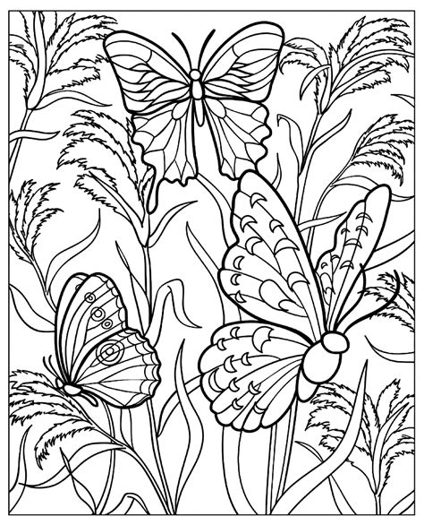 Butterflies In A Green Nature Butterflies Insects Adult Coloring Pages