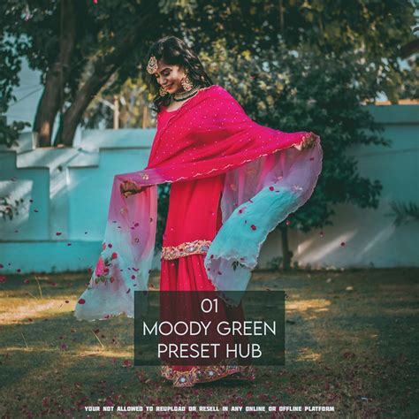 Moody Green Preset Lightroom Preset By Preset Hub Dakolor