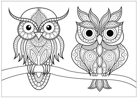 Two Owls With Simple Patterns On Branch Owls Adult