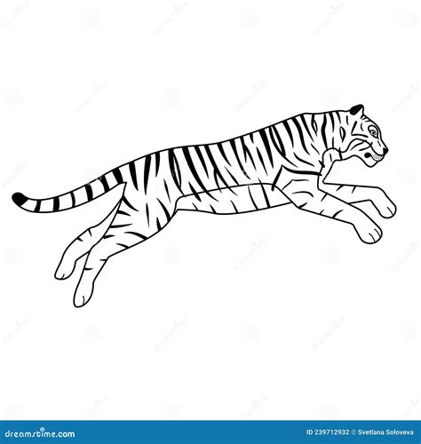Vector Flat Hand Drawn Outline Jumping Tiger Stock Vector