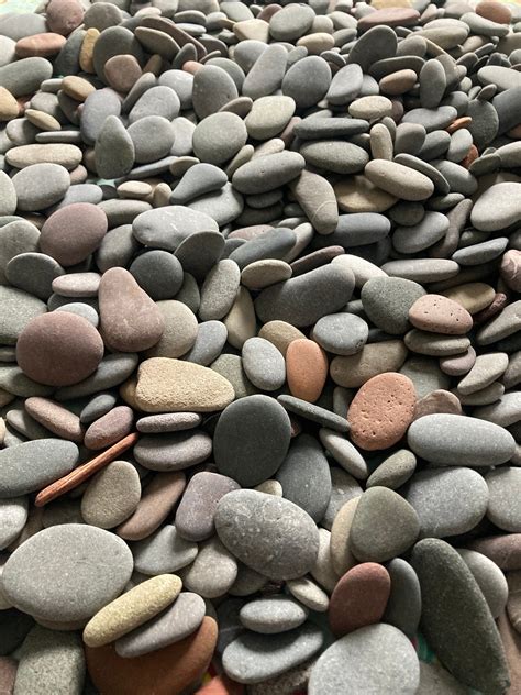 1kg Of Assorted Flat Pebbles Stones For Pebble Art Picture Etsy