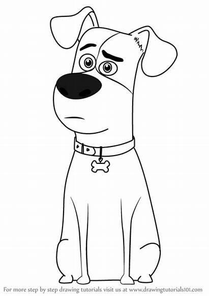 Coloring Pages Pets Secret Max Draw Drawing