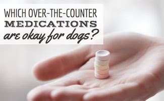 However, many cold products contain multiple ingredients. Which Over-The-Counter Medications Are Safe For Dogs ...