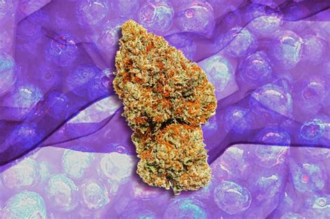 Blueberry Kush Strain Review Greenstate Greenstate