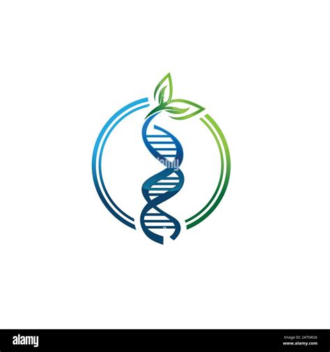 Vector Illustration Of A Double Helix Dna Strand Stock Vector Image
