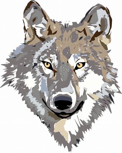 Wolf Vector Clip Clker Clipart Royalty Svg