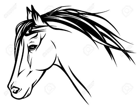 Horse Head Stock Vector Illustration And Royalty Free Horse Head