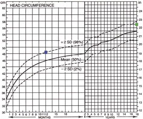 Who Head Circumference Growth Chart