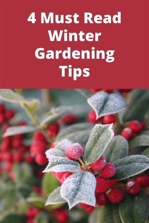 4 Must Read Winter Gardening Tips Garden Beds