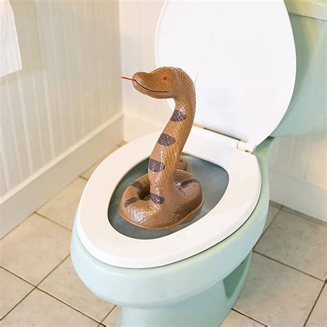 Pop Up Toilet Snake Prank