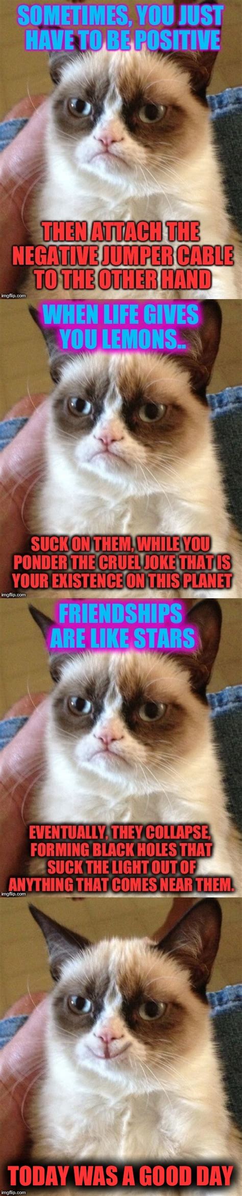 Grumpy Cat Inspirational Quotes To Brighten Up Your Day Imgflip