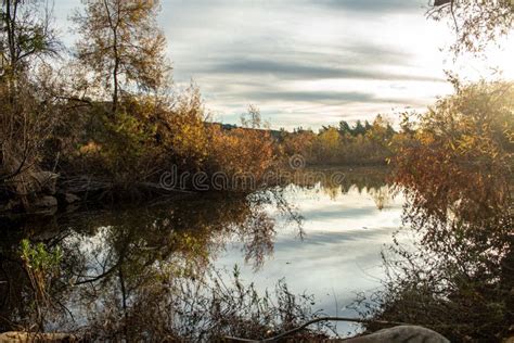 Beautiful Image Of A Small Lake Surrounded By Trees Stock Image Image