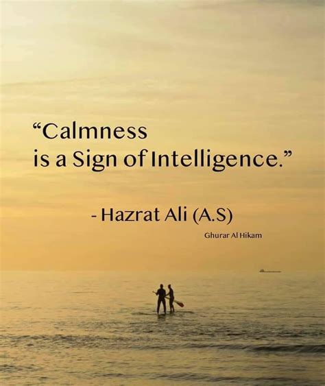 Best Imam Ali Sayings And Quotes Skardupk