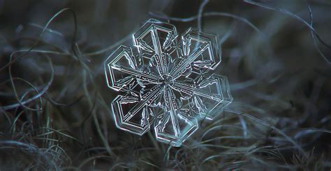 We did not find results for: UCreative.com - Macro Snowflake Photography: Alexey ...