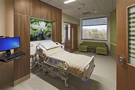 Calming Nature Artwork In A Modern Patient Suite Hospital Interior