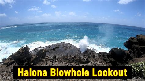 Halona Blowhole Lookout Oahu Hawaii Usa 🌴 Hawaii 4k Tour Youtube