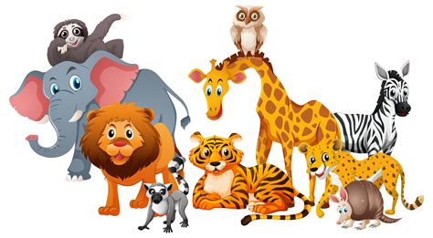Different Types Of Wild Animals On White Background 368890 Vector Art
