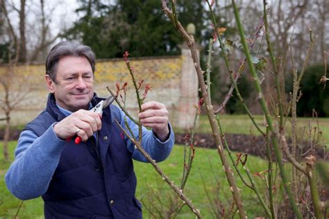 tea break tutorials with alan titchmarsh bbc gardeners world magazine
