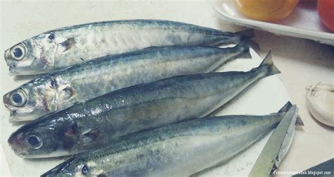 Translation of bilang ikan in english. Ikan Basung Rebus Kuning | The_ramaramapendek