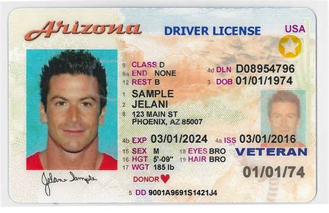 state driver licenses ids valid  air travel