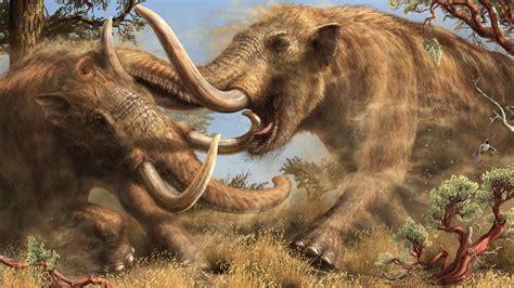 This Newly Discovered Mastodon Species Roamed California For Millions